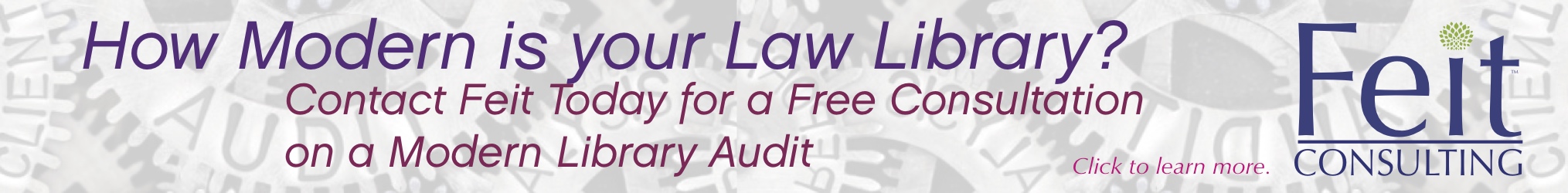 Feit - Modern Library Audit